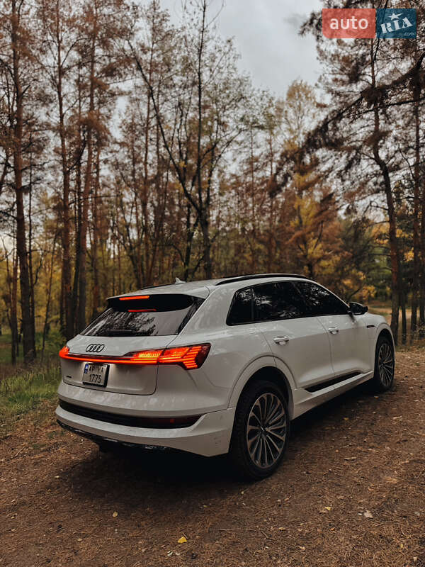 Внедорожник / Кроссовер Audi e-tron 2019 в Запорожье фото 5 Внедорожник / Кроссовер Audi e-tron 2019 в Запорожье