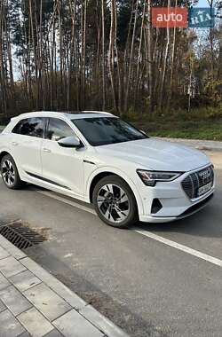 Позашляховик / Кросовер Audi e-tron 2020 в Житомирі
