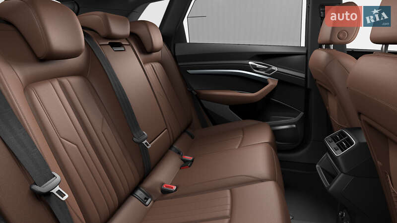 Внедорожник / Кроссовер Audi e-tron 2019 в Харькове фото 14 Внедорожник / Кроссовер Audi e-tron 2019 в Харькове