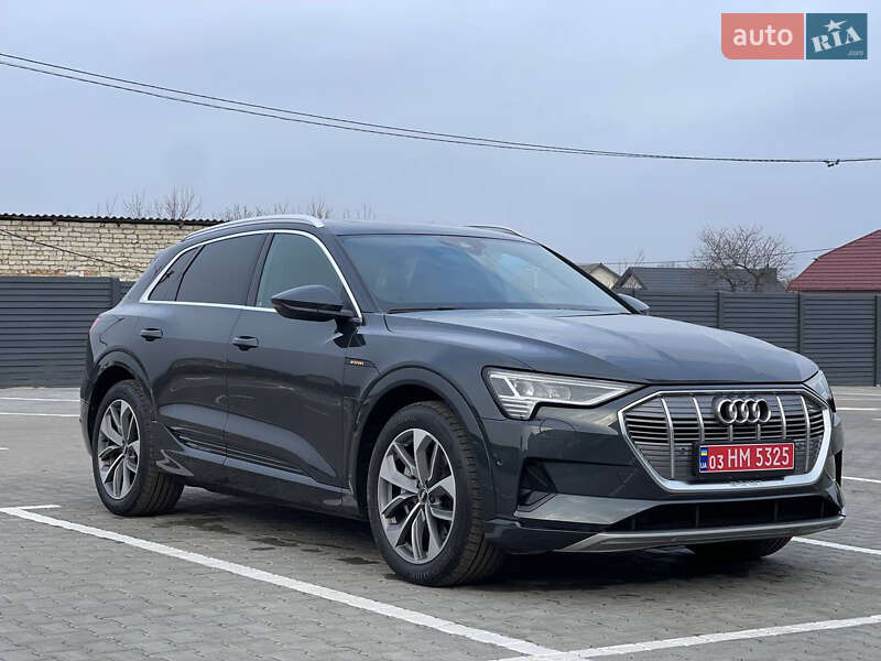 Внедорожник / Кроссовер Audi e-tron 2019 в Радивилове фото 45 Внедорожник / Кроссовер Audi e-tron 2019 в Радивилове