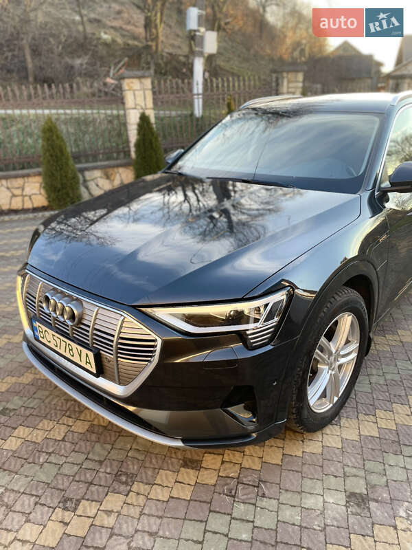 Внедорожник / Кроссовер Audi e-tron 2020 в Самборе фото 14 Внедорожник / Кроссовер Audi e-tron 2020 в Самборе