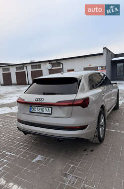 Внедорожник / Кроссовер Audi e-tron 2021 в Хмельницком
