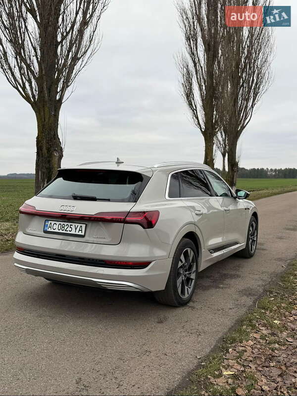 Внедорожник / Кроссовер Audi e-tron 2021 в Луцке фото 19 Внедорожник / Кроссовер Audi e-tron 2021 в Луцке