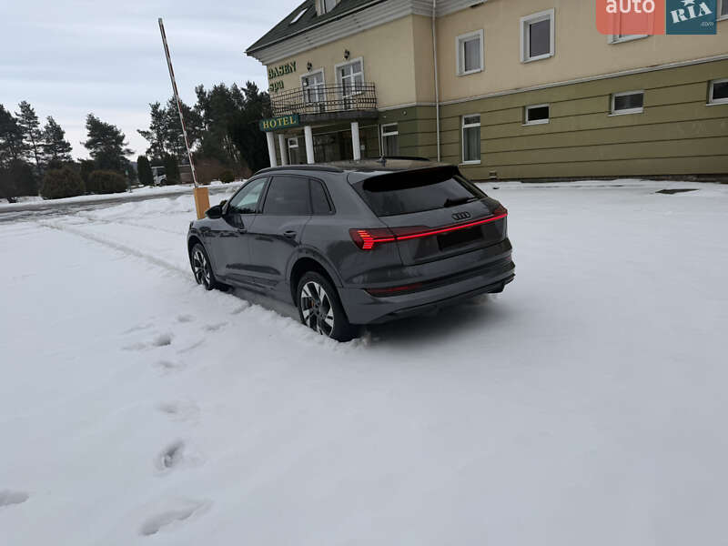 Внедорожник / Кроссовер Audi e-tron 2020 в Львове фото 6 Внедорожник / Кроссовер Audi e-tron 2020 в Львове