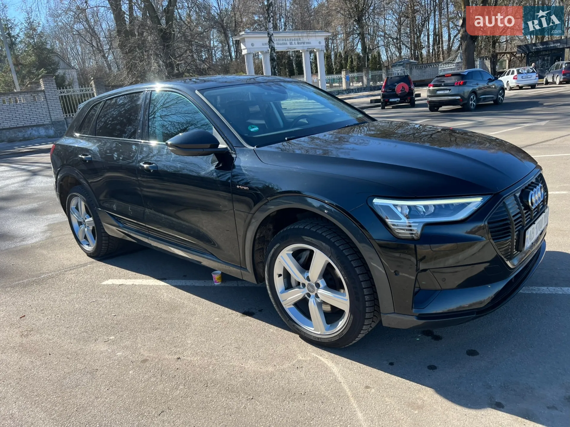 2019 Audi e-tron - мініатюра 10
