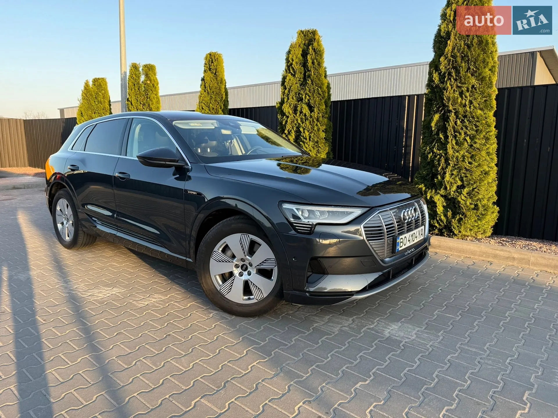 2019 Audi e-tron - мініатюра 4