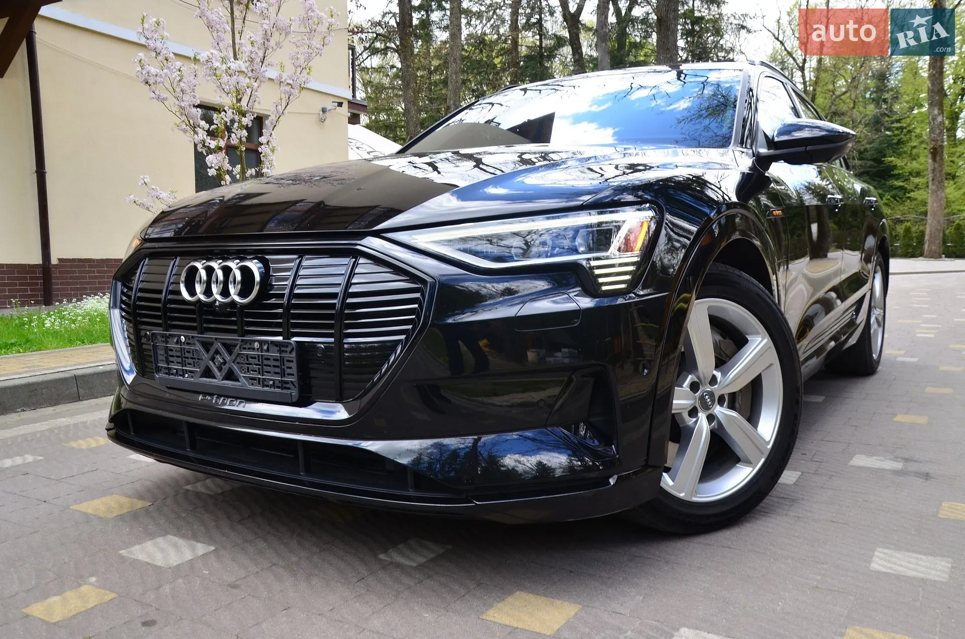 2019 Audi e-tron - мініатюра 3