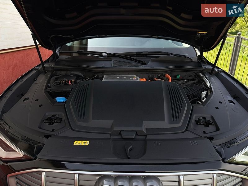 Внедорожник / Кроссовер Audi e-tron 2020 в Сваляве фото 45 Внедорожник / Кроссовер Audi e-tron 2020 в Сваляве