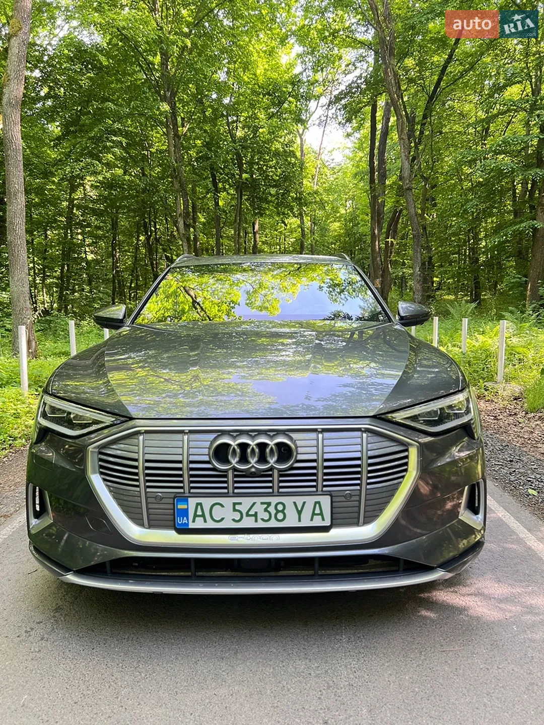 2019 Audi e-tron - мініатюра 2