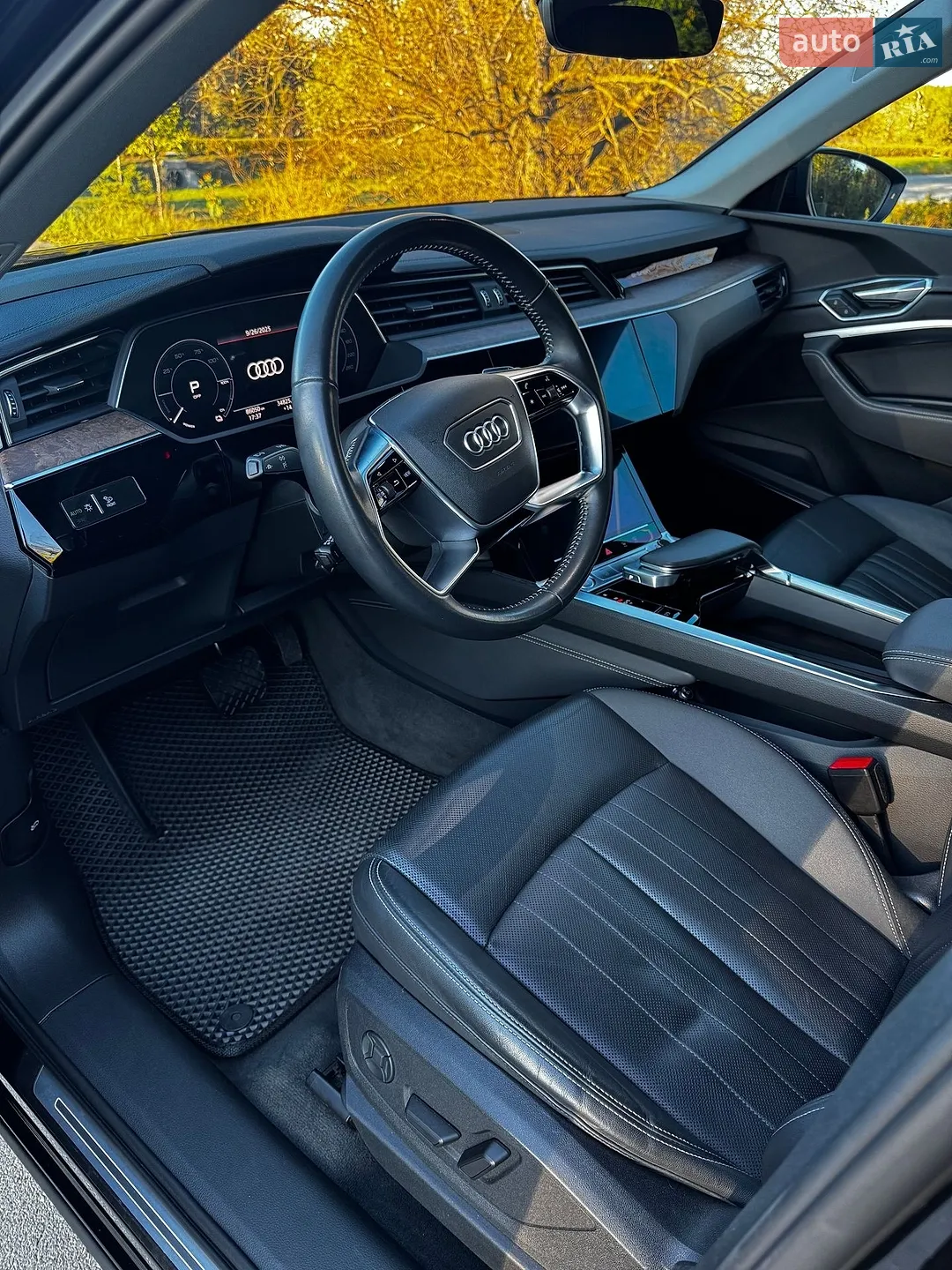 2019 Audi e-tron - мініатюра 8