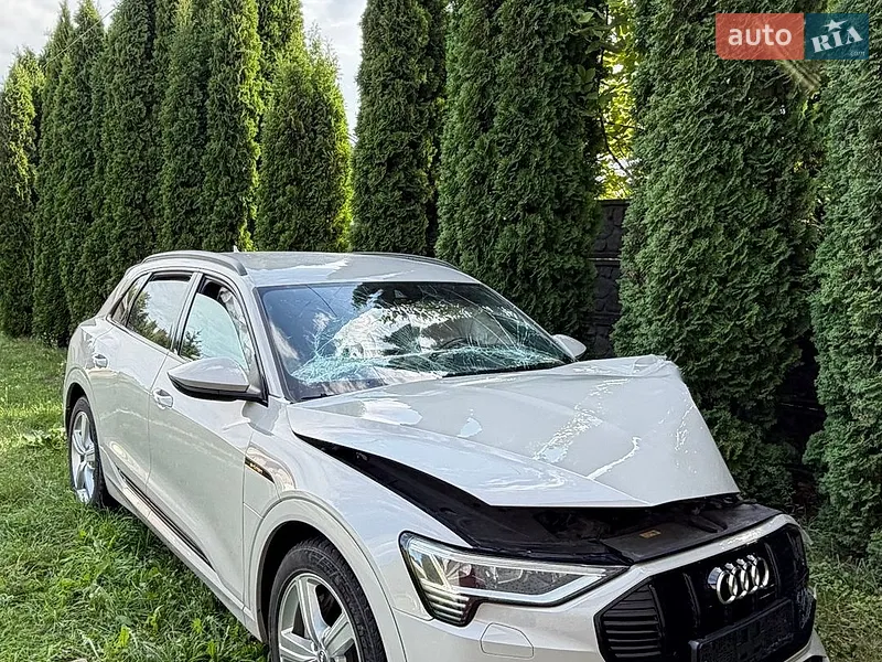 Audi e-tron 2021