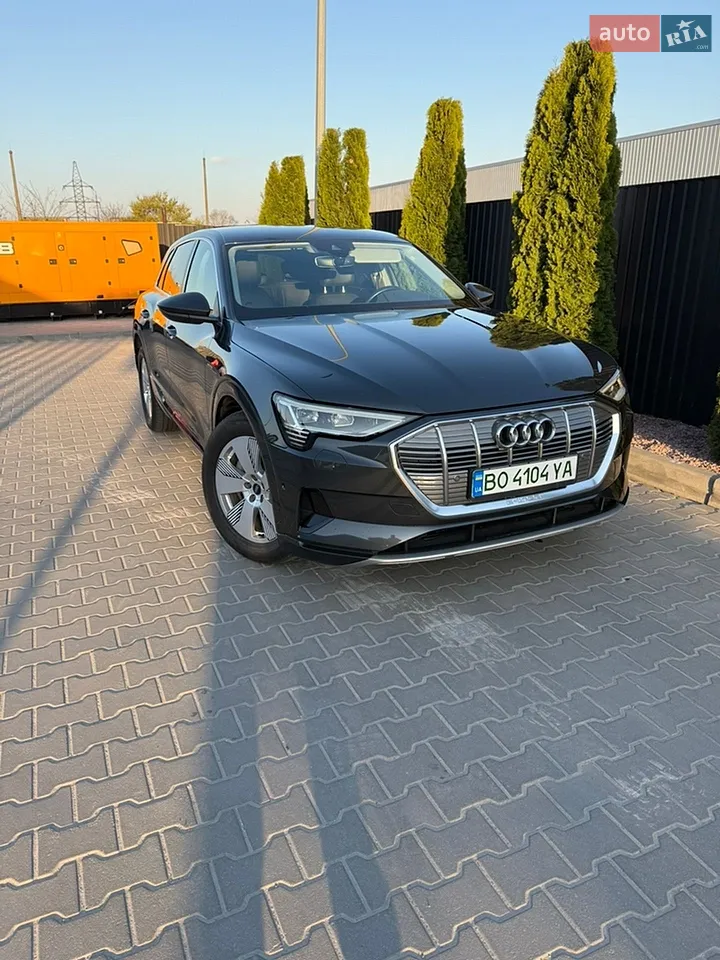 2019 Audi e-tron - мініатюра 56