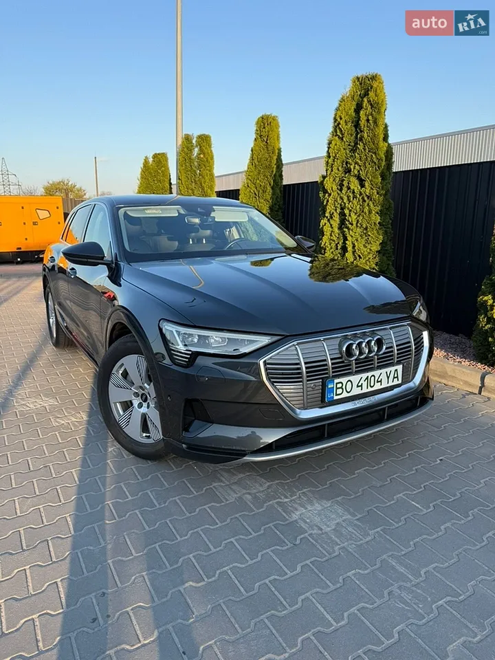 2019 Audi e-tron - мініатюра 61