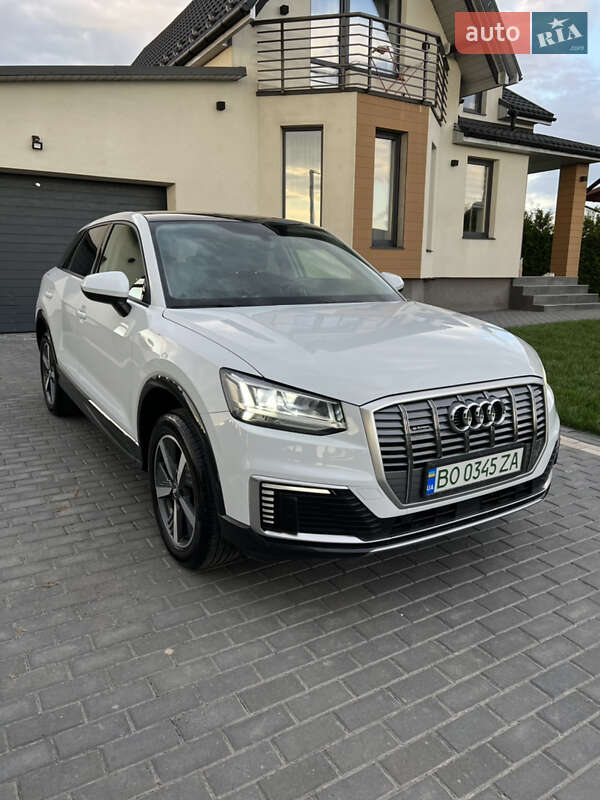 Позашляховик / Кросовер Audi Q2L e-tron 2021 в Тернополі