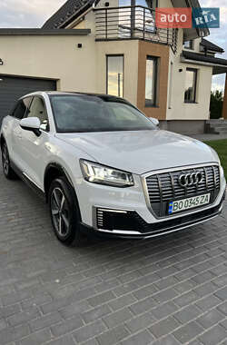 Внедорожник / Кроссовер Audi Q2L e-tron 2021 в 