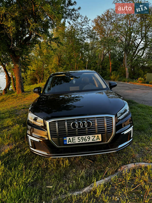 Позашляховик / Кросовер Audi Q2L e-tron 2021 в Кам'янському фото 6 Позашляховик / Кросовер Audi Q2L e-tron 2021 в Кам'янському