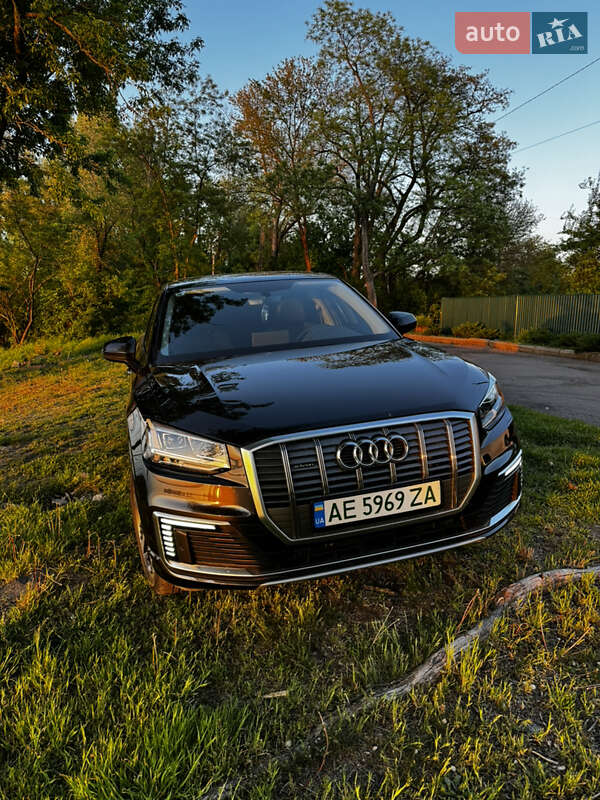 Позашляховик / Кросовер Audi Q2L e-tron 2021 в Кам'янському фото 11 Позашляховик / Кросовер Audi Q2L e-tron 2021 в Кам'янському