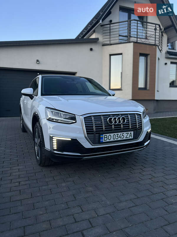 Audi Q2L e-tron 2021