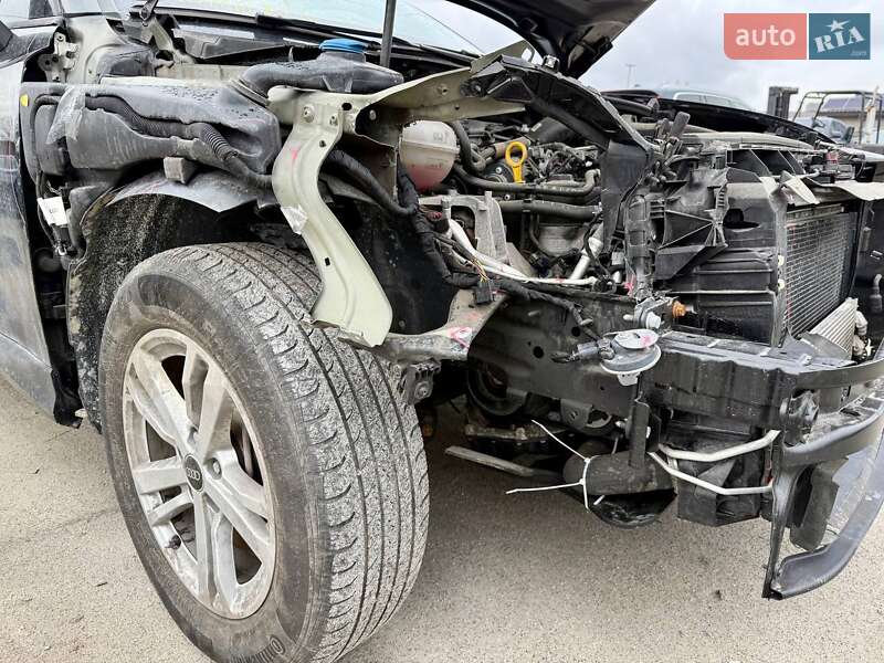 Внедорожник / Кроссовер Audi Q3 2021 в Киеве фото 28 Внедорожник / Кроссовер Audi Q3 2021 в Киеве