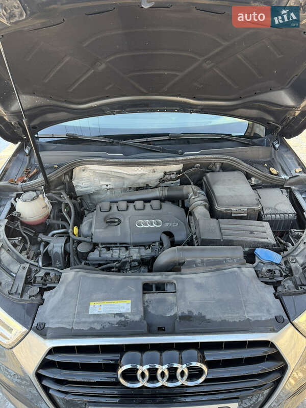 Внедорожник / Кроссовер Audi Q3 2018 в Киеве фото 17 Внедорожник / Кроссовер Audi Q3 2018 в Киеве