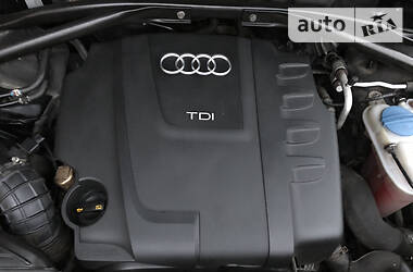 Внедорожник / Кроссовер Audi Q5 2010 в Тернополе