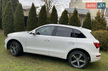 Внедорожник / Кроссовер Audi Q5 2015 в Днепре