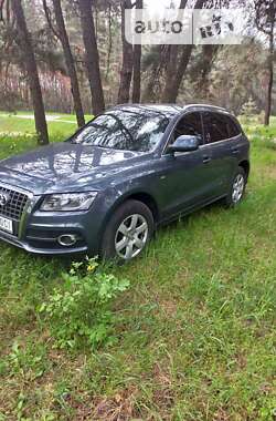 Позашляховик / Кросовер Audi Q5 2010 в Гадячі