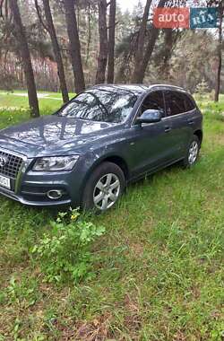 Audi Q5 2010 Audi Q5 2010