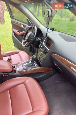 Внедорожник / Кроссовер Audi Q5 2010 в Гадяче