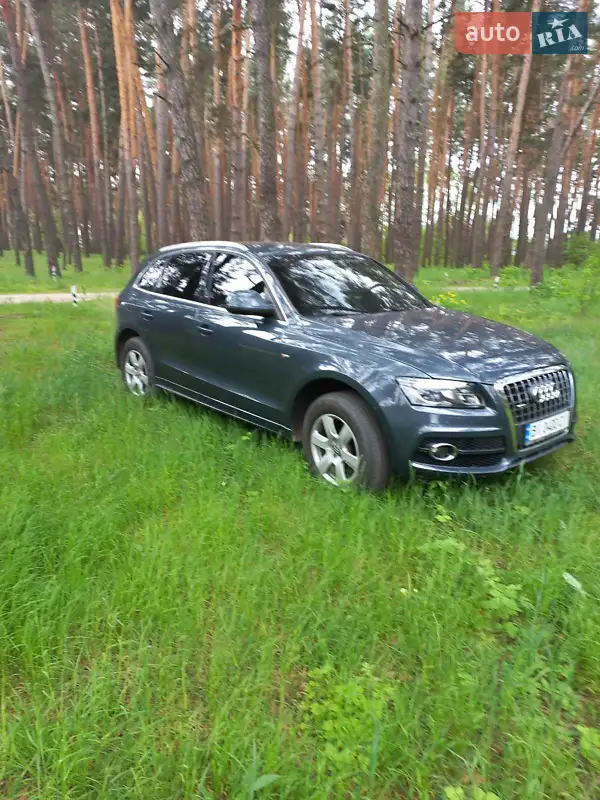 Audi Q5 2010