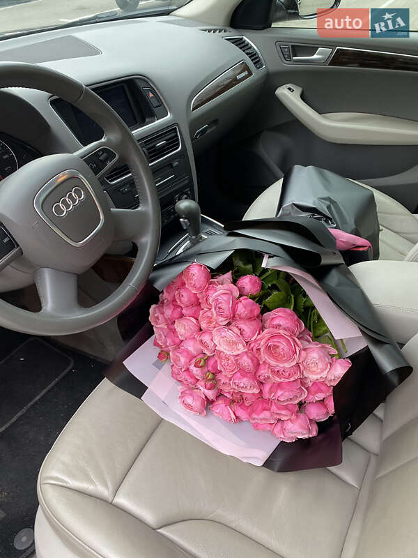 Внедорожник / Кроссовер Audi Q5 2011 в Ровно
