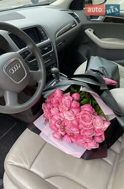 Внедорожник / Кроссовер Audi Q5 2011 в 