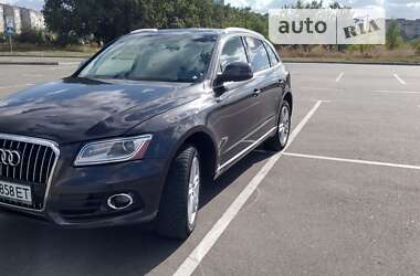 Audi Q5 2013