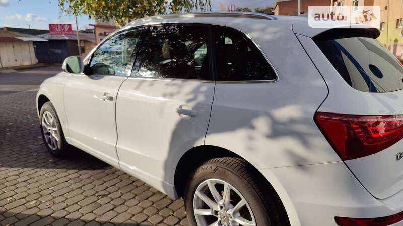 Внедорожник / Кроссовер Audi Q5 2010 в Ужгороде
