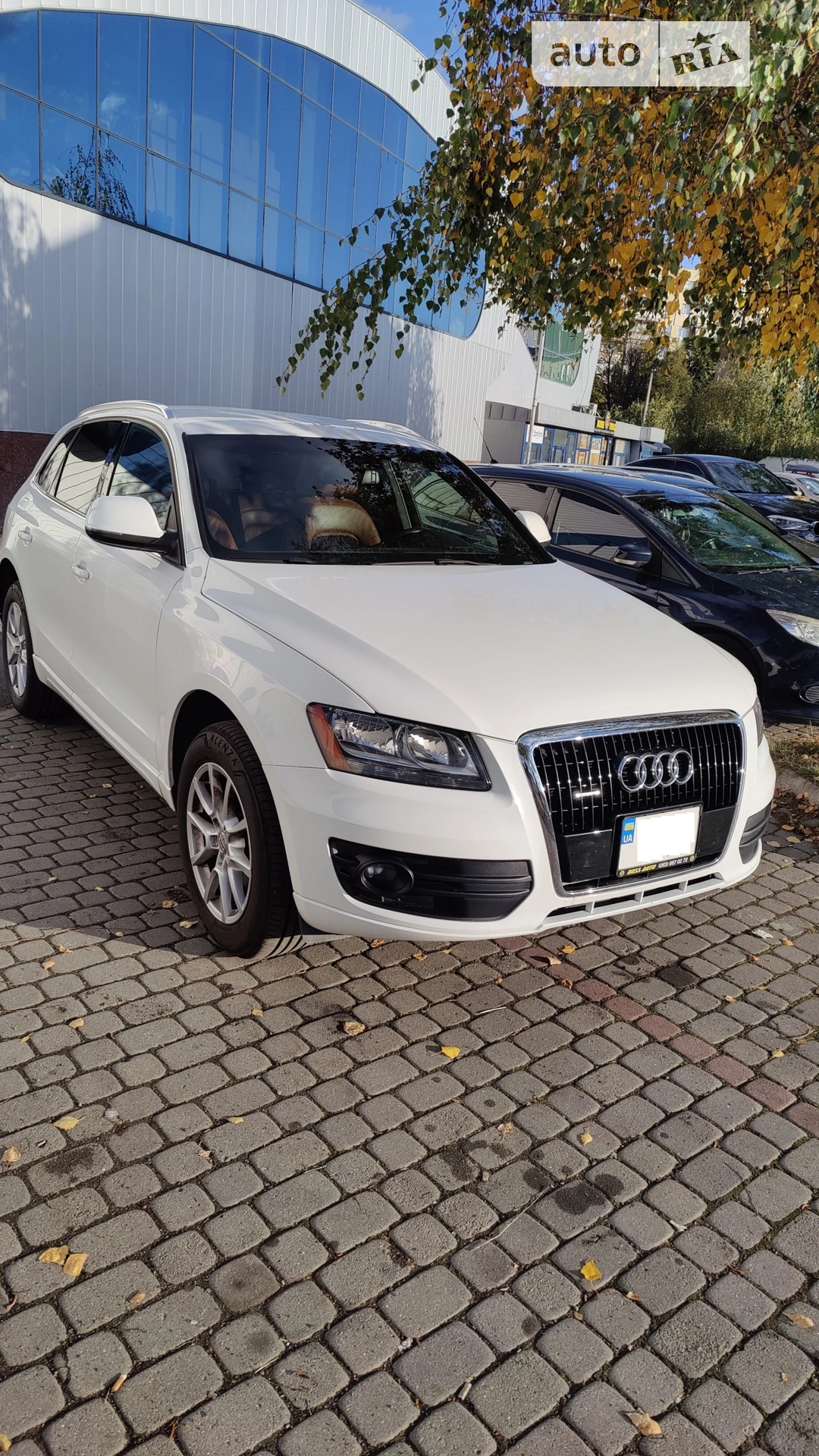 2010 Audi Q5 - мініатюра 17