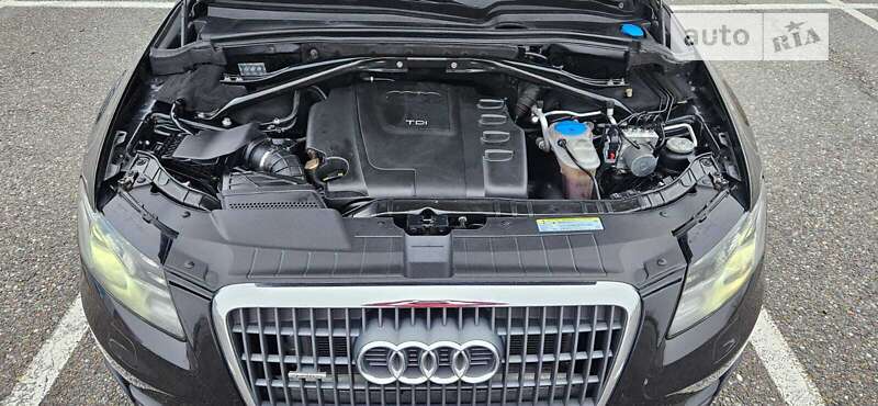 Внедорожник / Кроссовер Audi Q5 2009 в Львове