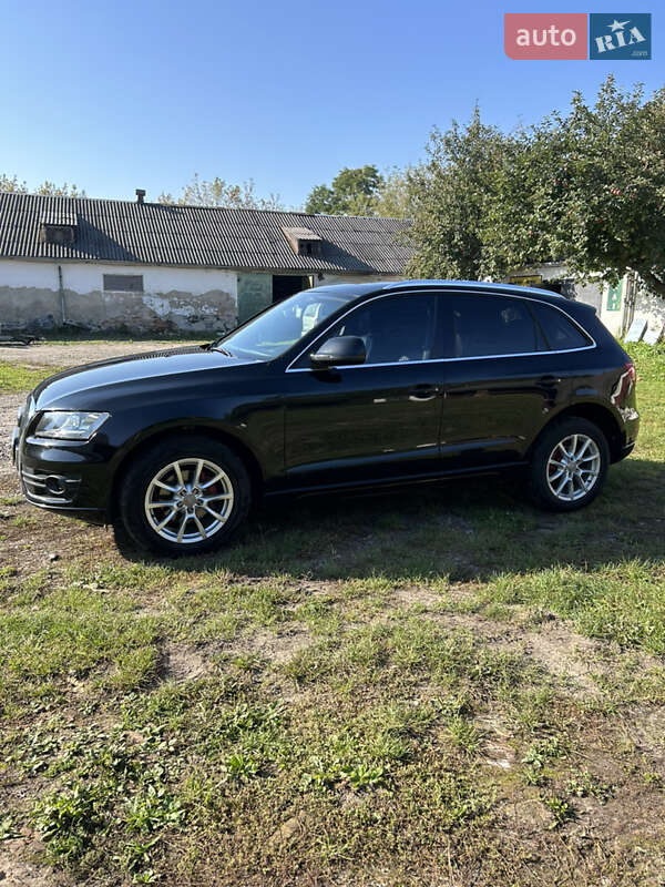 Внедорожник / Кроссовер Audi Q5 2010 в Радехове фото 6 Внедорожник / Кроссовер Audi Q5 2010 в Радехове