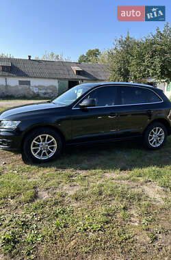 Внедорожник / Кроссовер Audi Q5 2010 в 