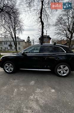 Внедорожник / Кроссовер Audi Q5 2019 в 