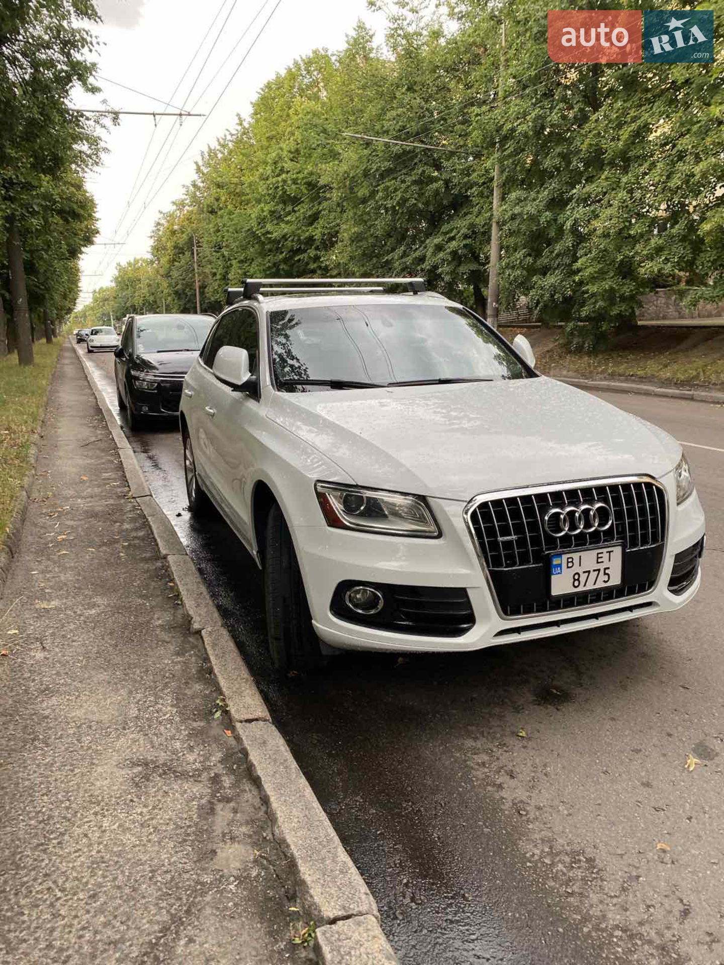 2013 Audi Q5 - мініатюра 4