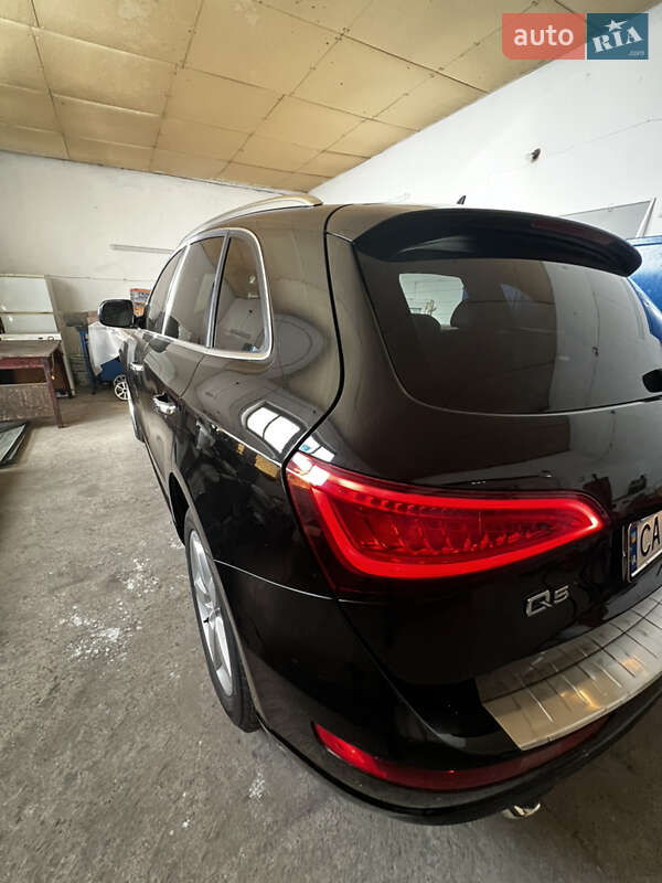 Внедорожник / Кроссовер Audi Q5 2011 в Шполе