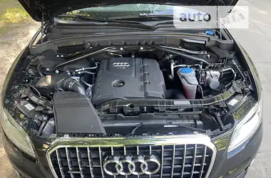 Audi Q5 2013