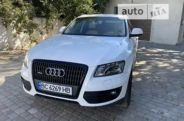 Audi Q5 2010