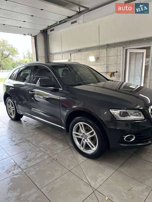 Внедорожник / Кроссовер Audi Q5 2014 в Василькове фото 18 Внедорожник / Кроссовер Audi Q5 2014 в Василькове