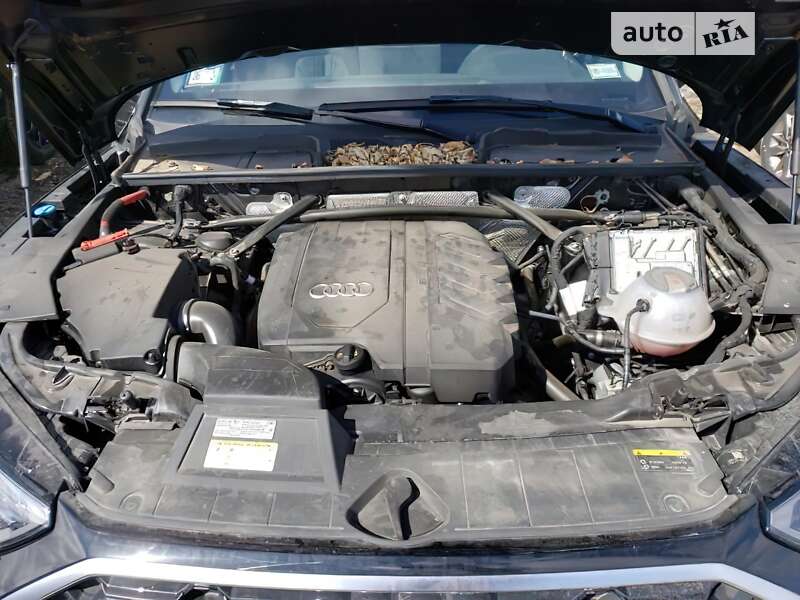 Внедорожник / Кроссовер Audi Q5 2022 в Днепре