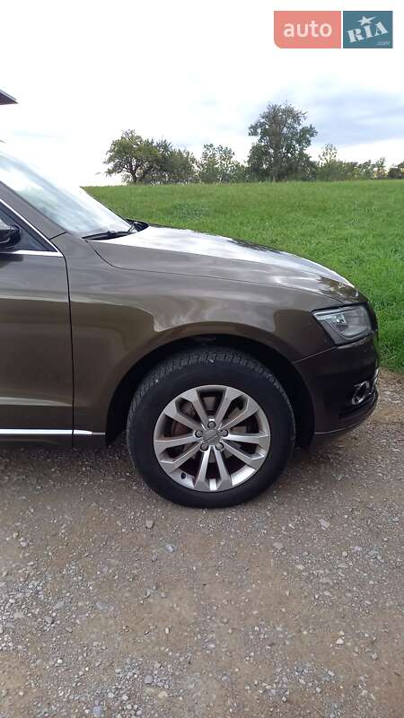 Внедорожник / Кроссовер Audi Q5 2016 в Николаеве