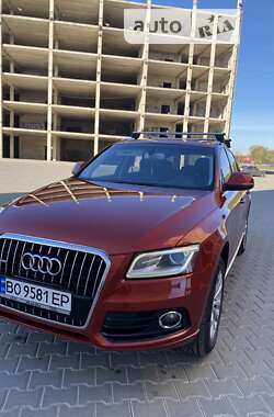 Audi Q5 2013