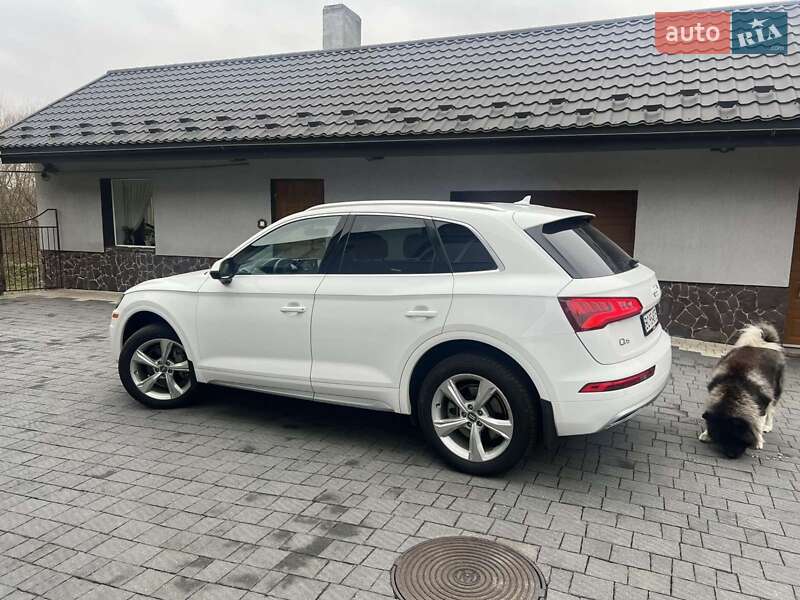 Внедорожник / Кроссовер Audi Q5 2019 в Сокале