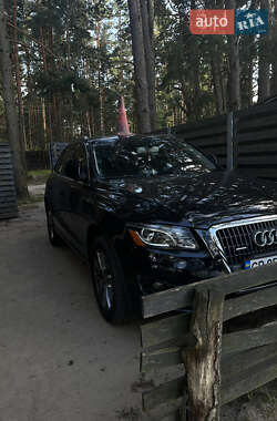 Внедорожник / Кроссовер Audi Q5 2010 в Чернигове