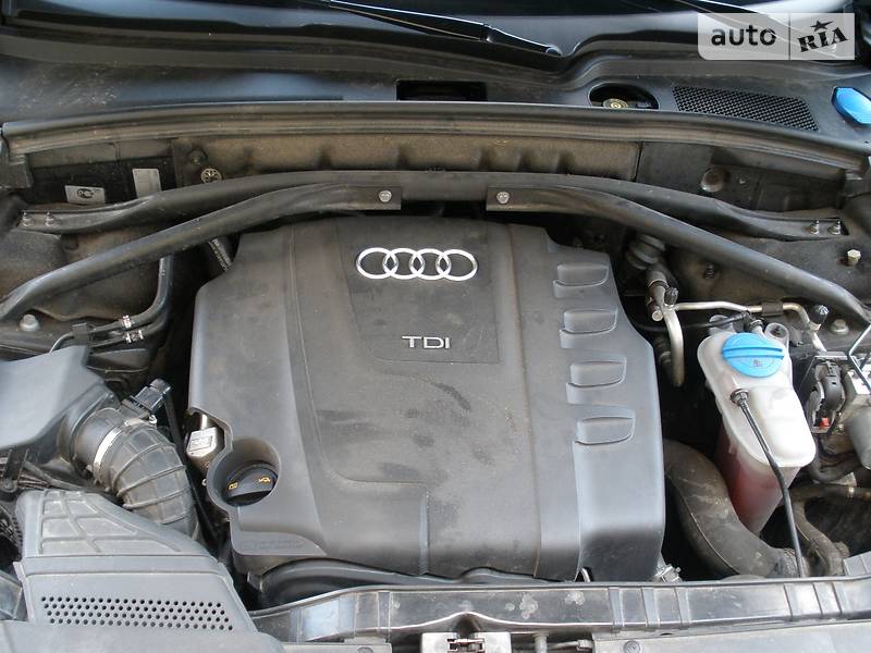 Позашляховик / Кросовер Audi Q5 2009 в Києві